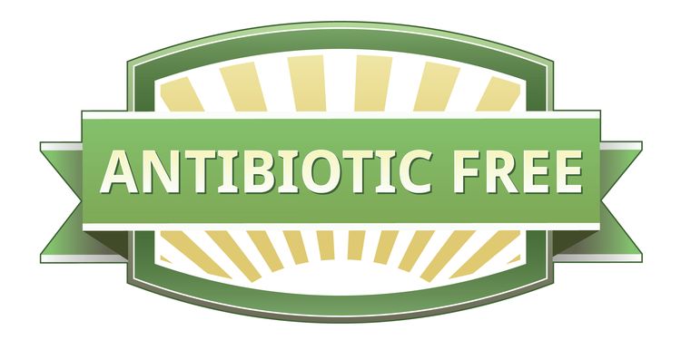 antibiotic free food label