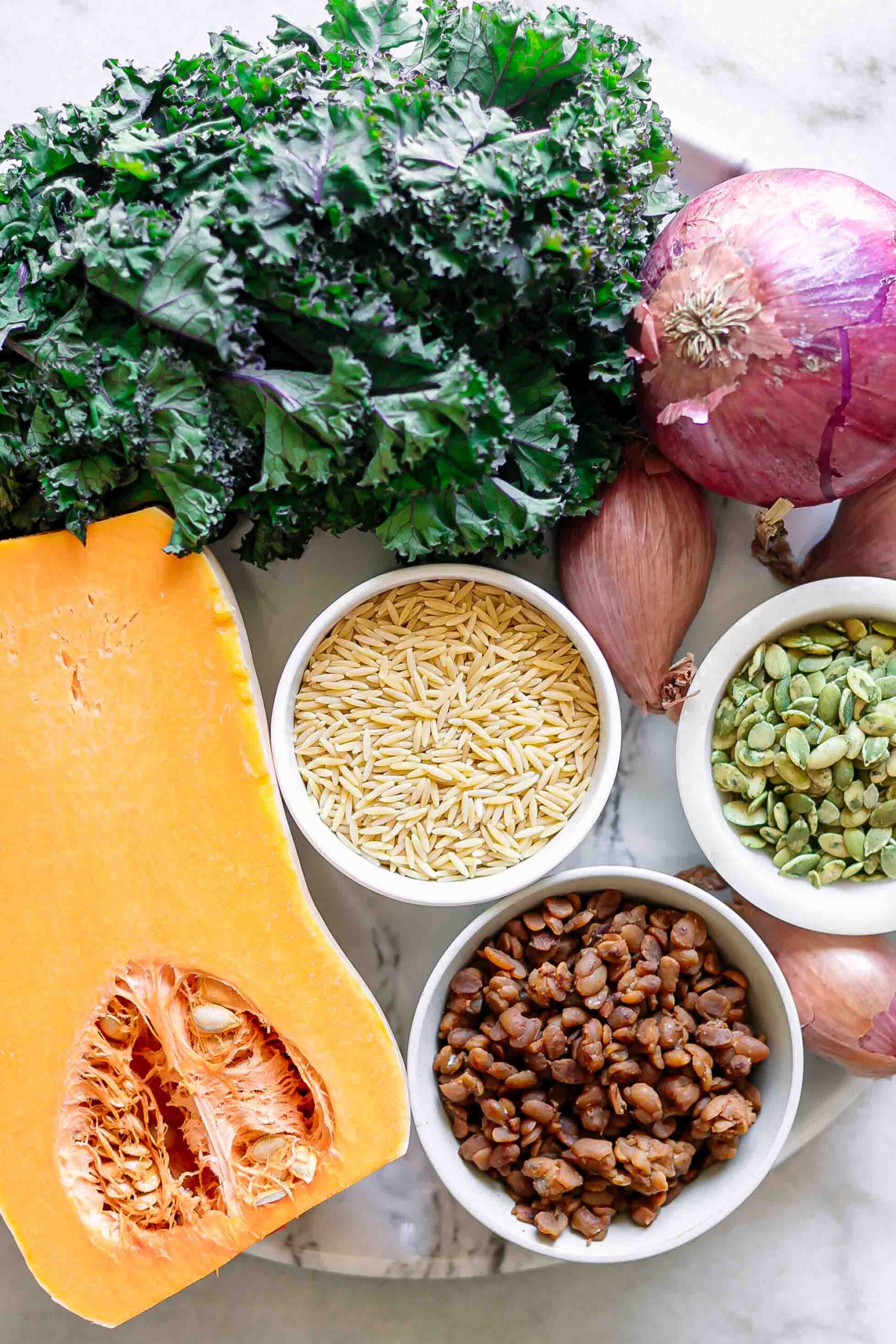 butternut squash, kale, shallots, and bowls of orzo, tempeh, pumpkin seeds