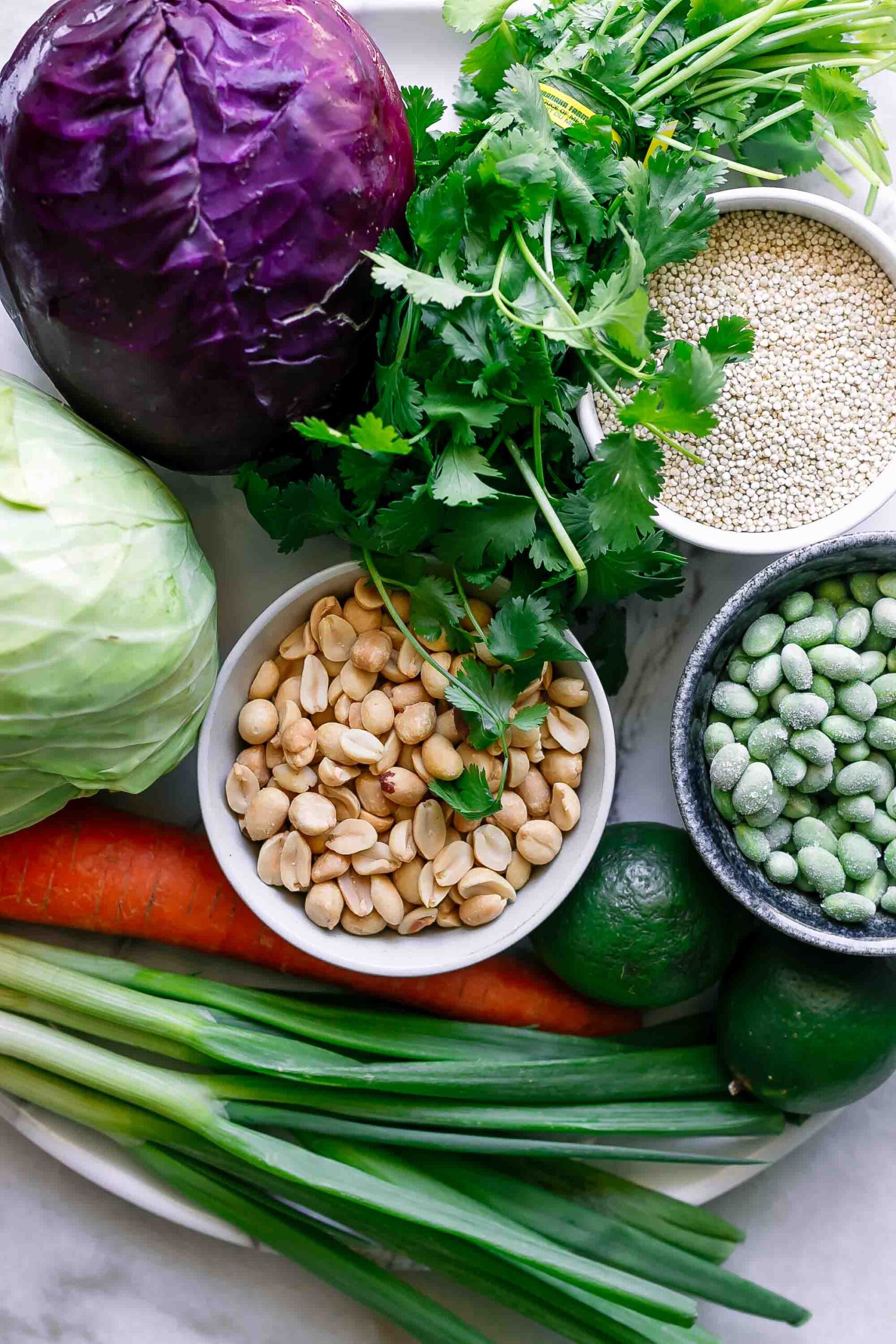 red and green cabbage, peanuts, edamame, quino, green onions and limes on a table for salad