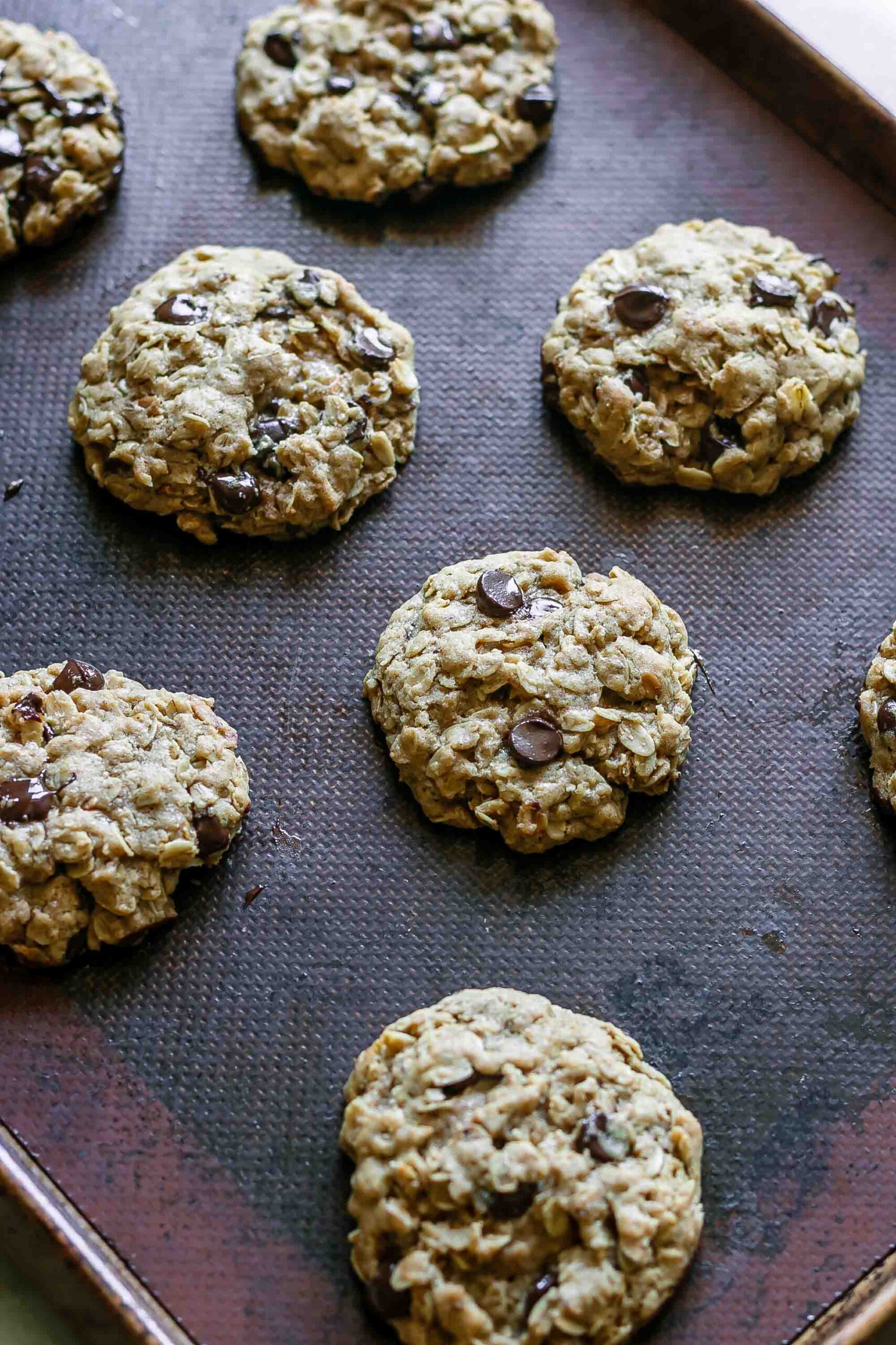 vegan chocolate chip oatmeal cookies on a cookie sheet after baking